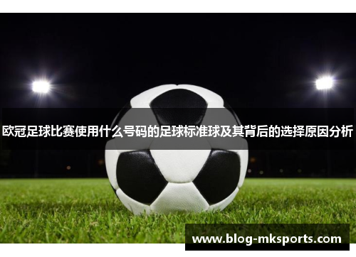 欧冠足球比赛使用什么号码的足球标准球及其背后的选择原因分析