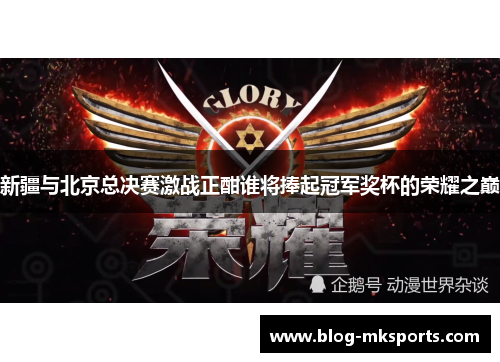 新疆与北京总决赛激战正酣谁将捧起冠军奖杯的荣耀之巅
